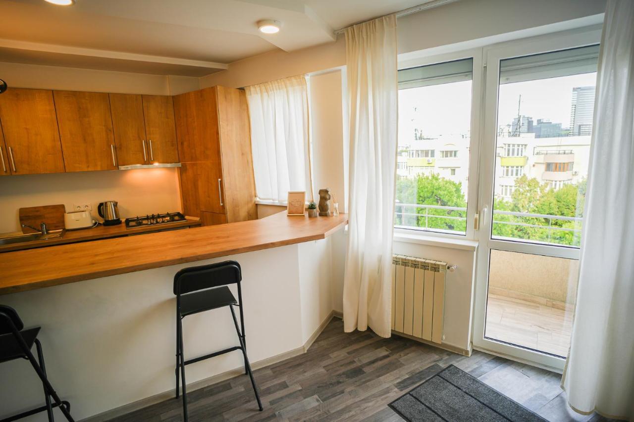 Penthouse With Huge Rooftop & Amazing City View Bukurešť Exteriér fotografie