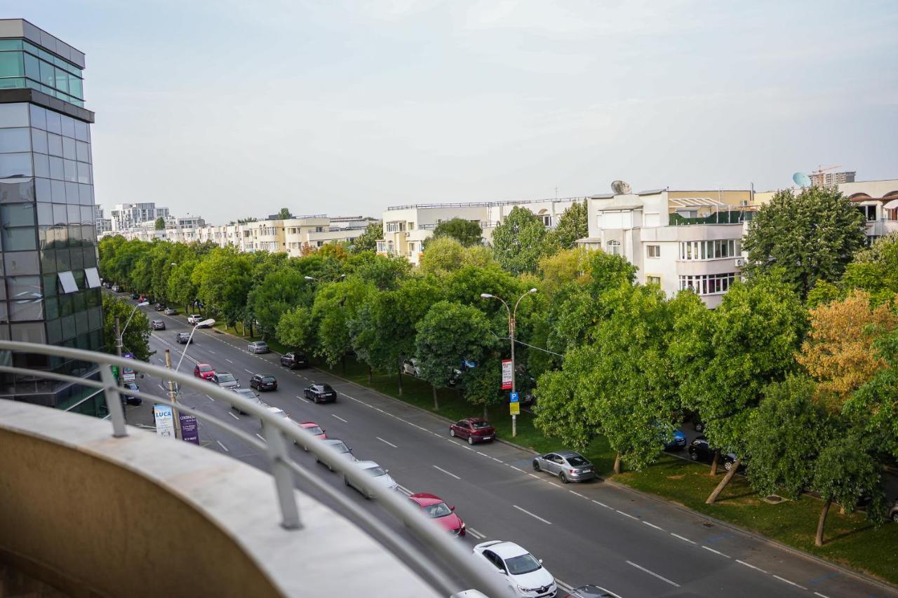 Penthouse With Huge Rooftop & Amazing City View Bukurešť Exteriér fotografie